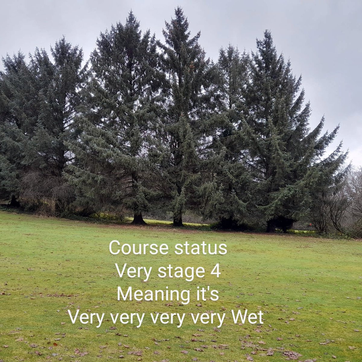 LickeyHillsGolf's tweet photo. Course status
Course open 8 winter greens
It's at very stage 4 meaning it's very very very very wet ,
18 mm rain overnight
We are opening but many courses in the UK let alone the West Midlands will be closed today , #golf #golfer #wet #BIRMINGHAM #westmidlands #courseopen https://t.co/DeDCeCBqlR
