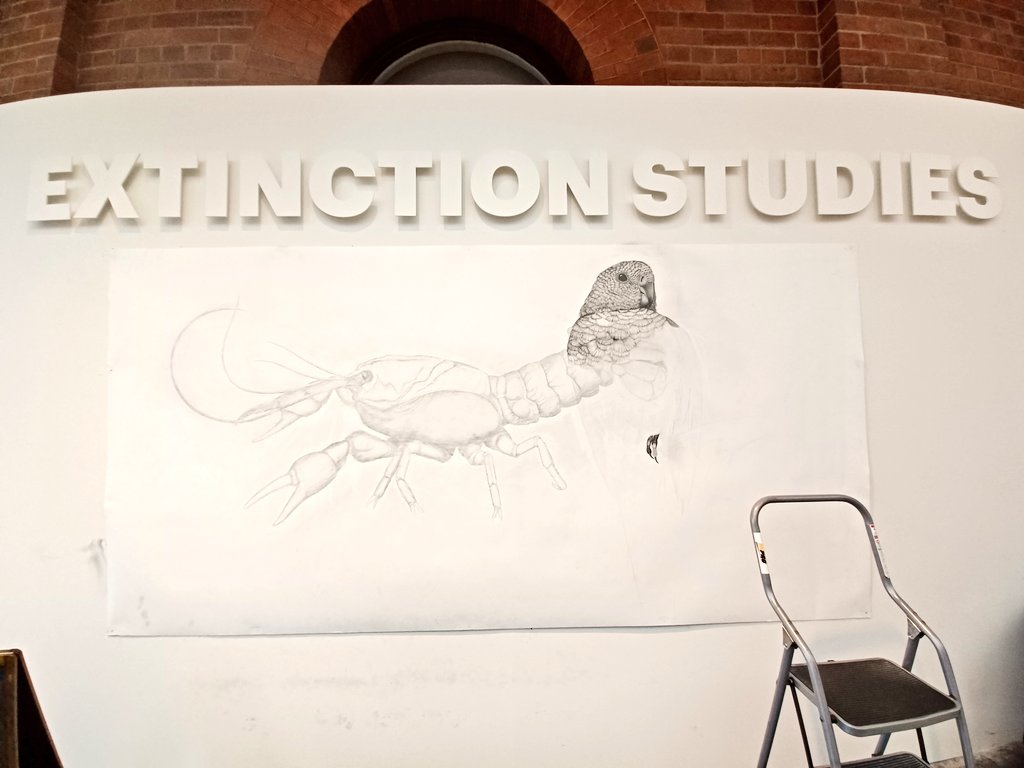 JackDAshby's tweet photo. A really poignant #PerformanceArt drawing project at @tasmuseum - in #ExtinctionStudies, artist Lucienne Rickard drew and then erased a critically endangered Australian species, before drawing another in its place. Over time, the paper weakened and the eraser shavings built up. https://t.co/oSC9hjuNzi
