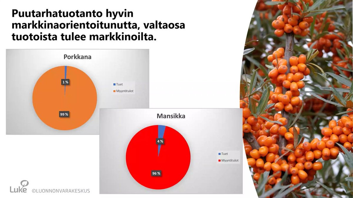 AgriHubin vuoden ensimmäisessä Kasvata tiedolla-webinaarissa Anu Koivisto <a href="/LukeFinland/">Luonnonvarakeskus</a> kertoo juuri nyt puutarhatuotannon kannattavuuslaskelmista - vielä ehdit linjoille Teamsiin, Anun jälkeen kaksi esitystä. maaseutuverkosto.fi/tapahtumat/kas…
