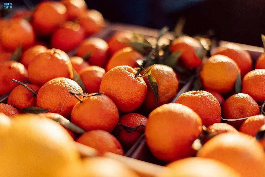 alekhbariyaFRA's tweet photo. Photos | Le festival d'hiver de #Tantora met en lumière la cuisine d'#AlUla (@RCU_SA) @ExperienceAlUla , et les produits locaux.
#EKHactualités https://t.co/J7U0CLdfmS