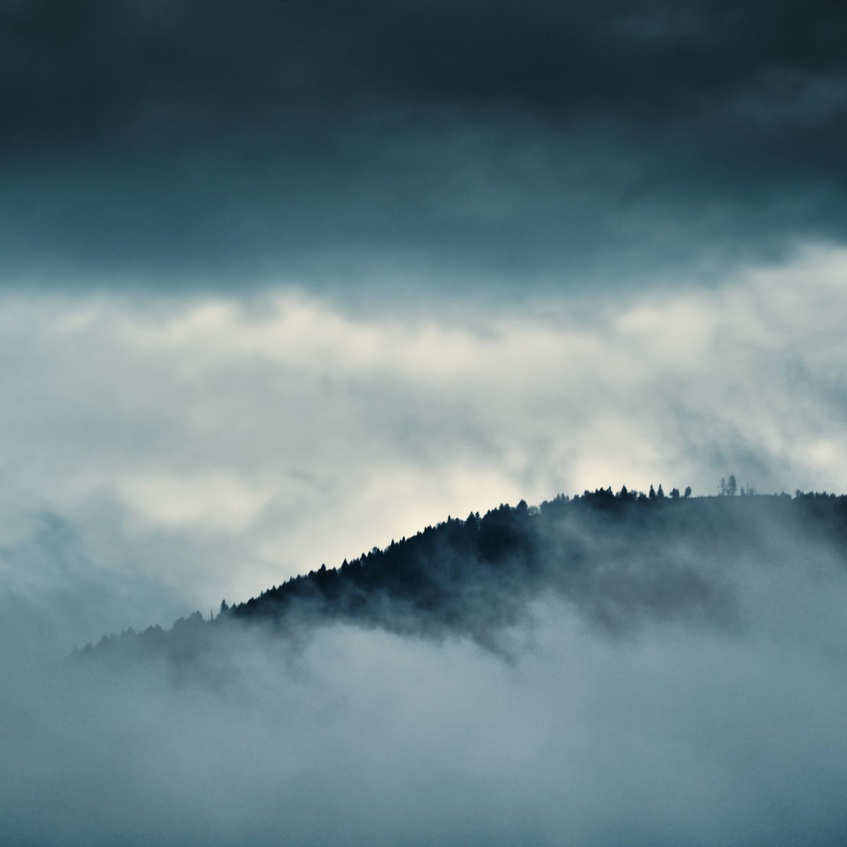 Etau

.

.

.

.

.

#boisdejussy #saleve #geneva #switzerland #suisseromande #switzerland #raw_europe #photographegeneve #landscapephotography #naturephotography #travelphotography #fujifilm  #wanderlust  #mountain #mist #clouds #cloudappreciationsociety #dramaticsky