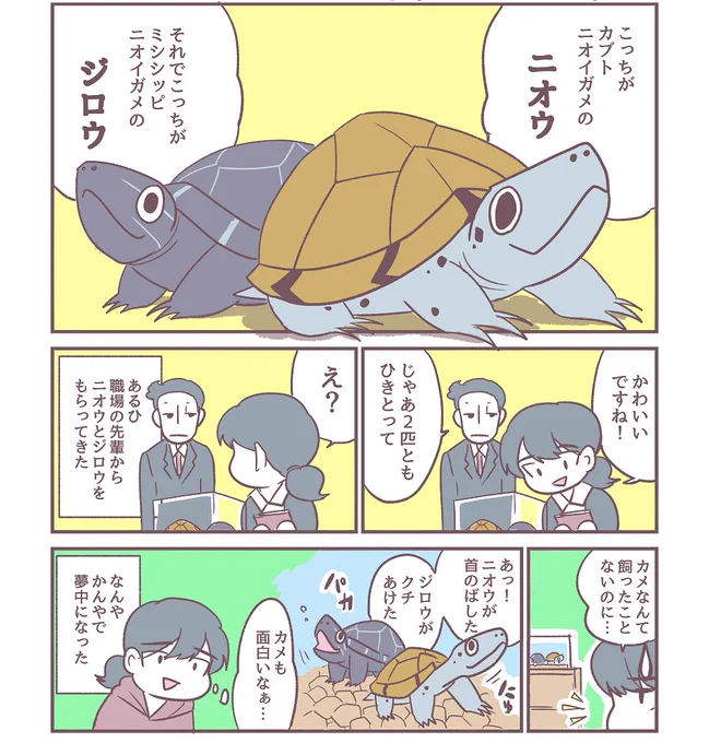 カメ漫画、新旧比較【新】
#観世あみ作品投稿祭り毎朝7時30分 ←投稿夕方になってごめんぬ 