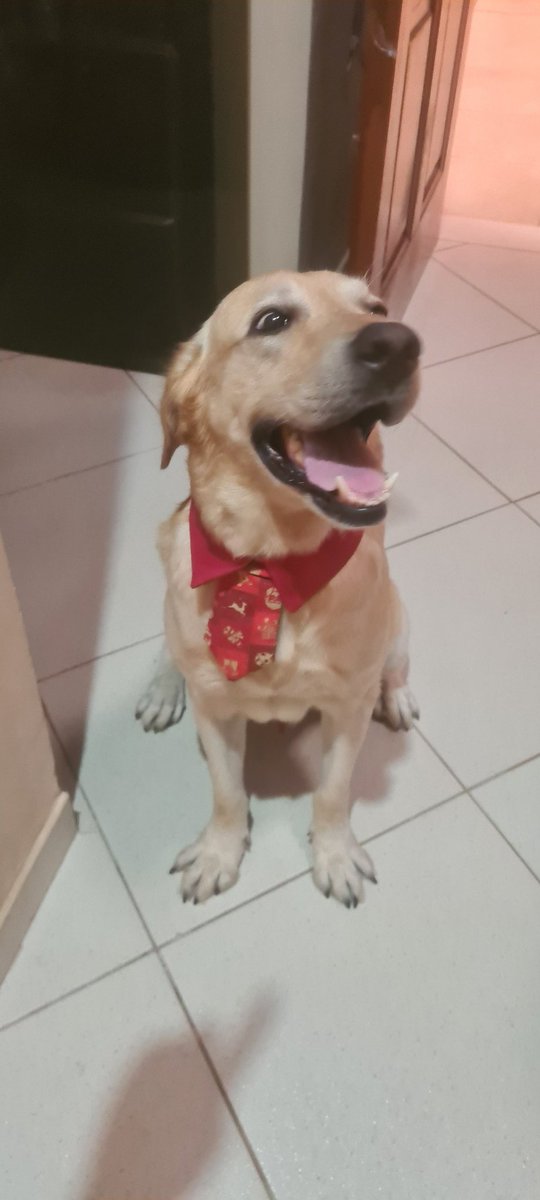 CamiMaVictoria's tweet photo. Como empezó / como va ❤️ https://t.co/Xflvu8Erie