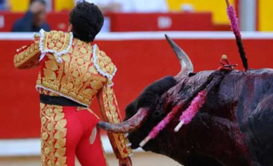 Borsaya yönlendirdiğim boğa eğitmenleri tüm gayretleriyle savaşmaya ediyor. #bist100 🤣