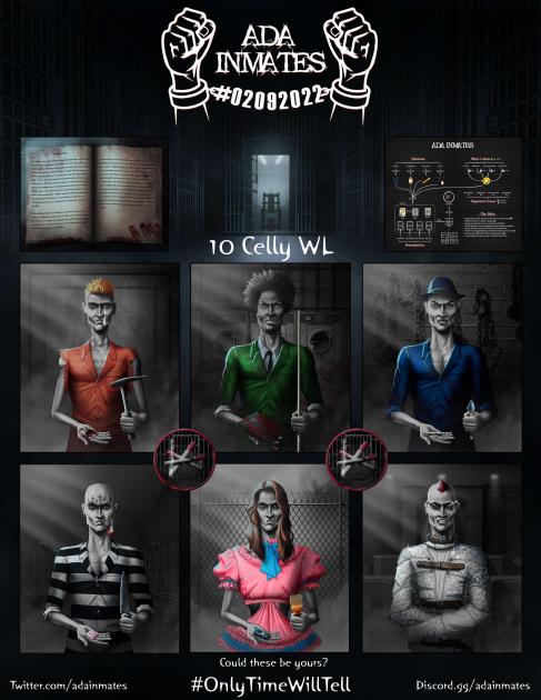 The Armadillo Order tweet media