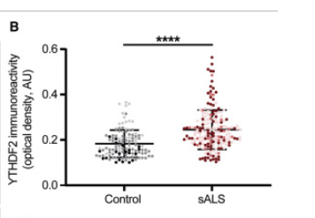 Oscar Wilkins tweet media