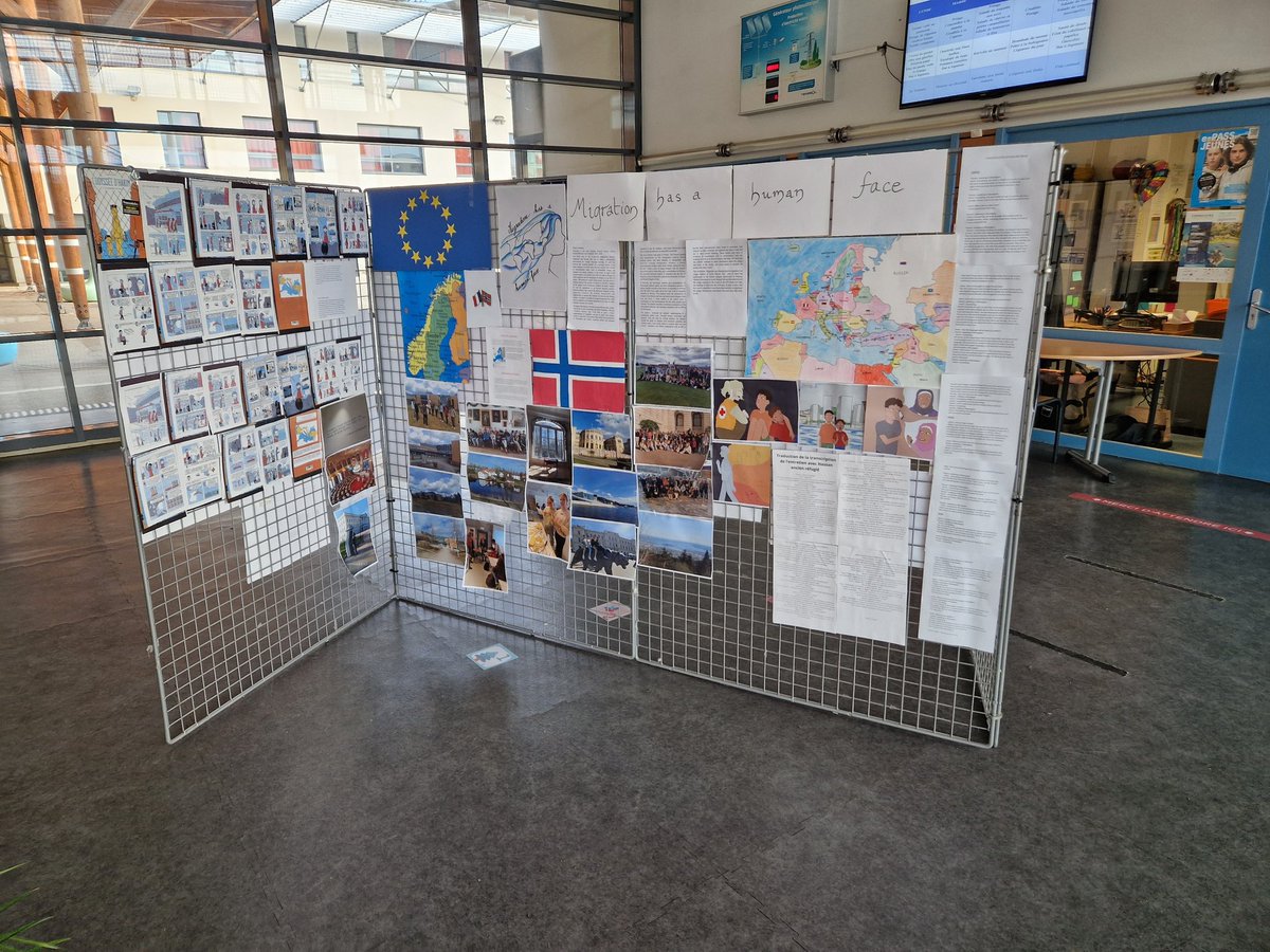 CDI_VEIL tweet media