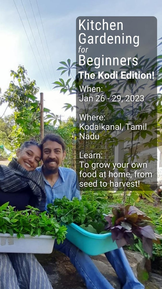 vahishta's tweet photo. Ever since Neha and I started our Kitchen Gardening for Beginners workshops way back in 2020, we've known that what we really would love to do is have an in person workshop. https://t.co/cjvAYFH7H2