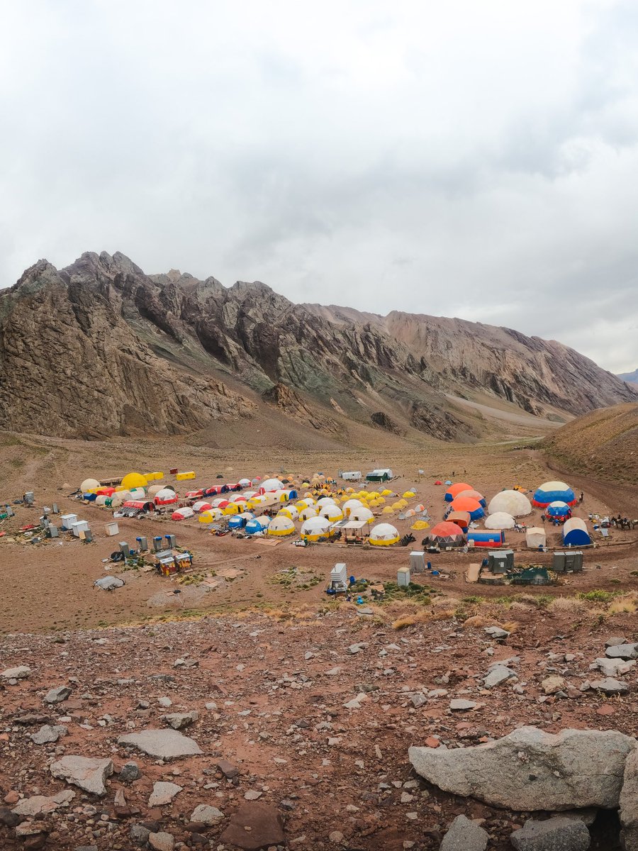 Manuel Areco tweet media