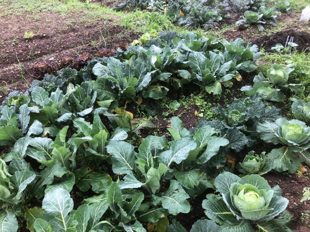 ESCUTA PROJECT_ERASMUS+ tweet media