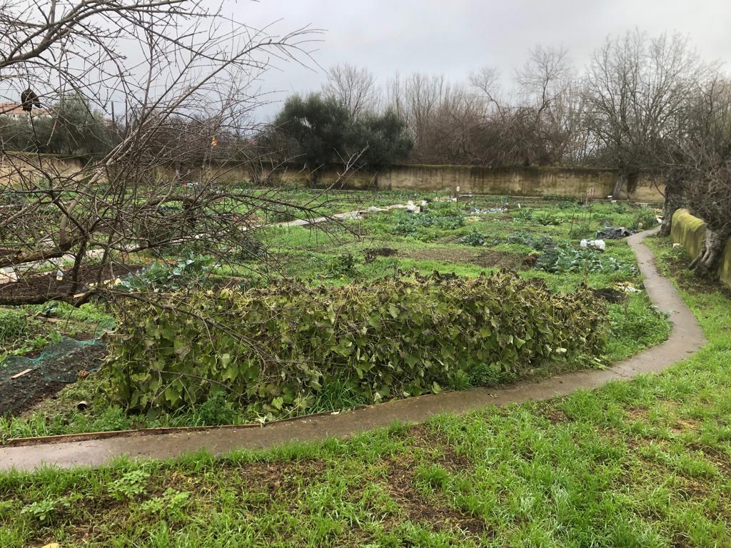 ESCUTA PROJECT_ERASMUS+ tweet media