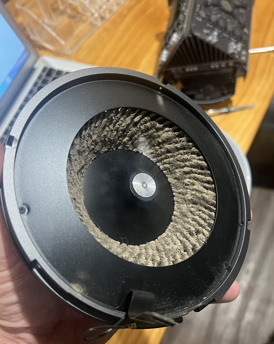 ᵀᴱᴿᴿᵞ ᴷᴵᴺᴳ tweet media