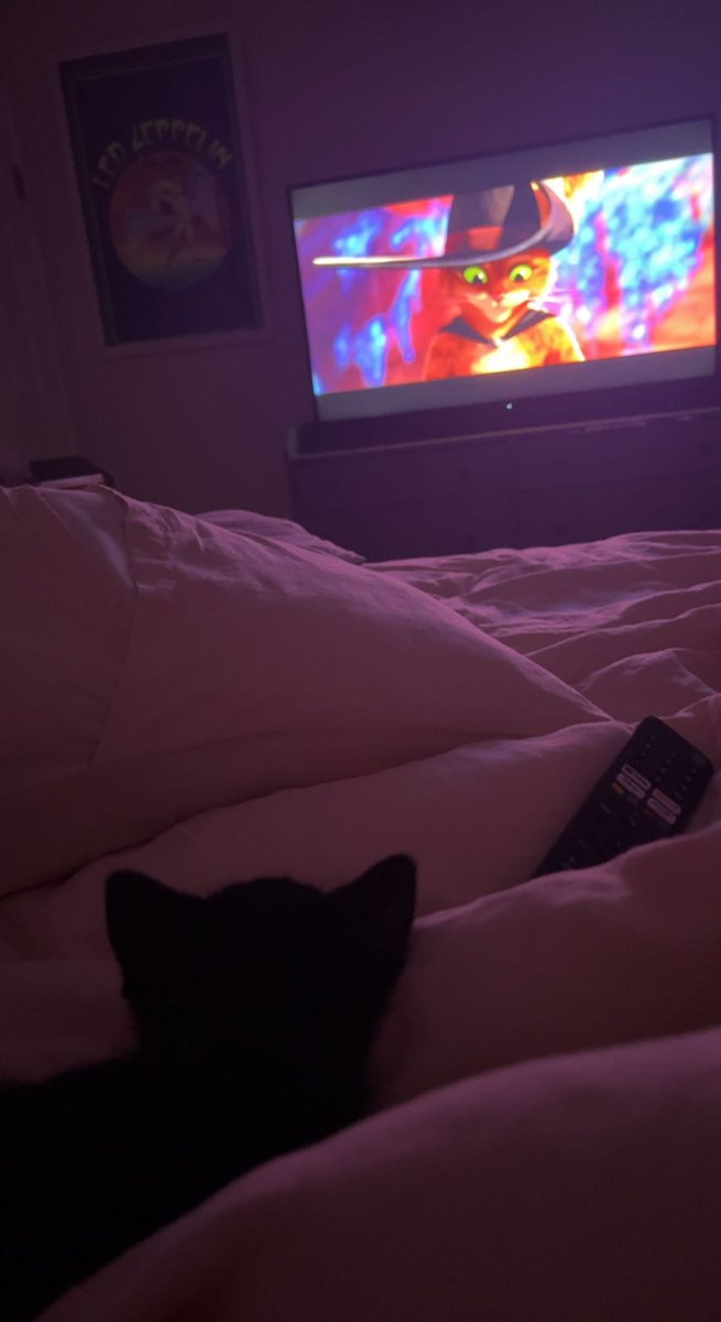 Bridget McGarry (@bridget_mcgarry) on Twitter photo Watched <a href="/PussInBoots/">DreamWorks Puss In Boots</a> The Last Wish w my kitty that was rescued from the crazy LA storm on Monday, Chip! Perfect first movie for him ❤️ Watched <a href="/PussInBoots/">DreamWorks Puss In Boots</a> The Last Wish w my kitty that was rescued from the crazy LA storm on Monday, Chip! Perfect first movie for him ❤️