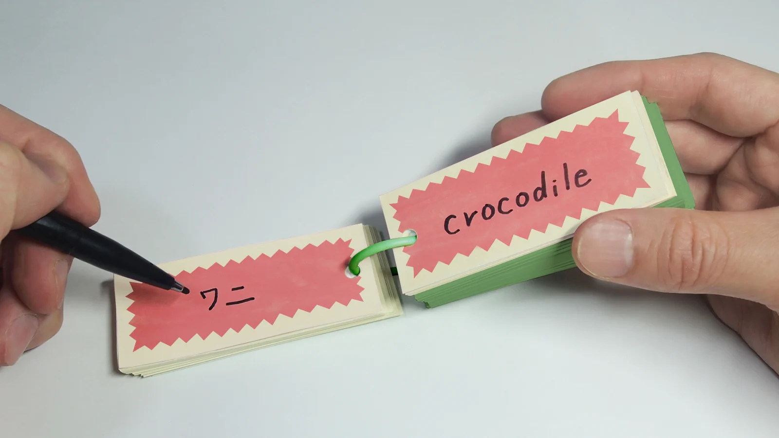 とてもかわいいリアルな形状！ワニの形の単語帳！