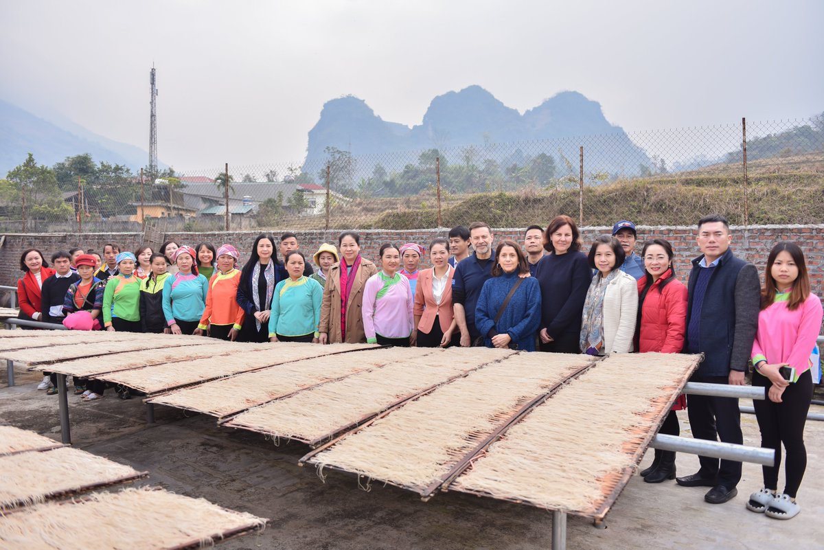 Aus4Equality GREAT tweet media