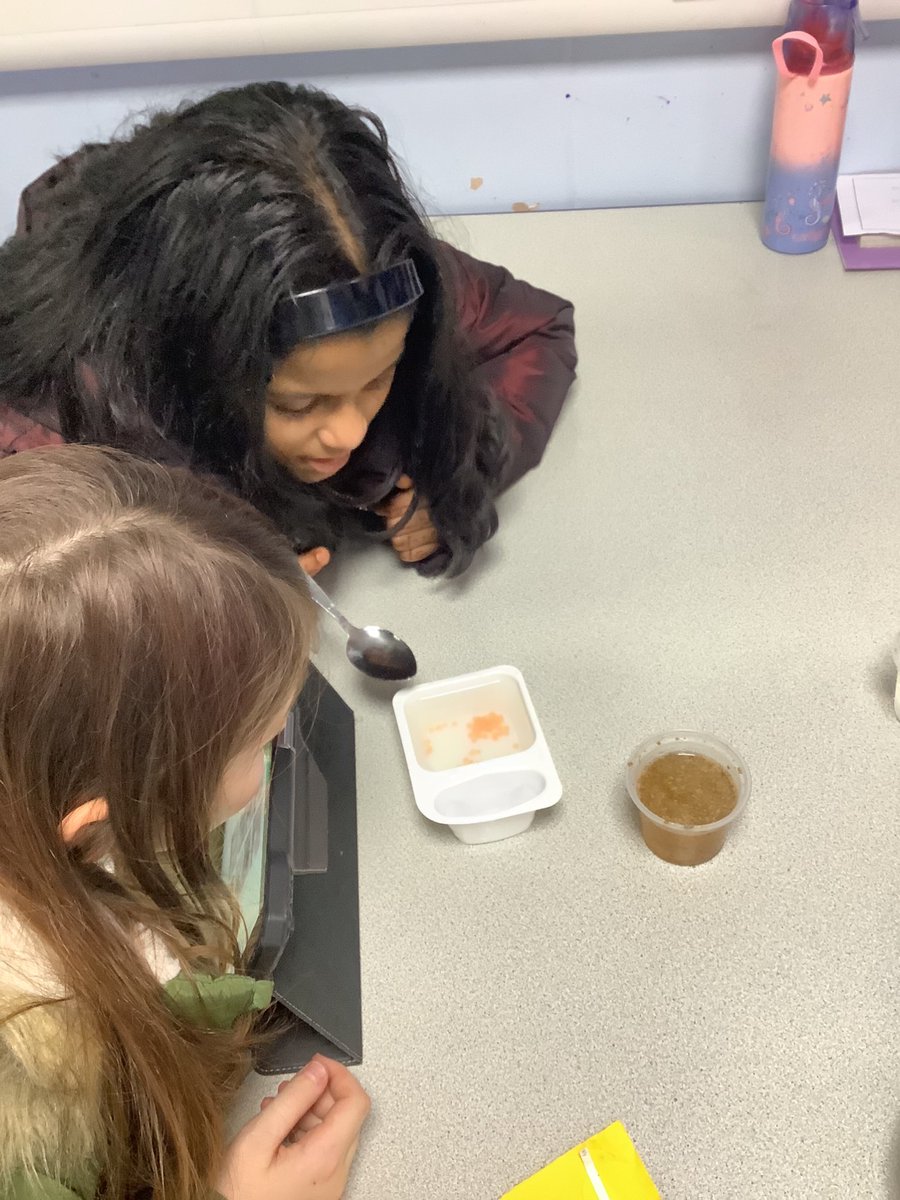 Today in chemistry, the children investigated soluble/insoluble materials by seeing which materials could dissolve into water and create a solution. By documenting the learning on Numbers, the children had more time for meaningful conversations and for critical thinking!