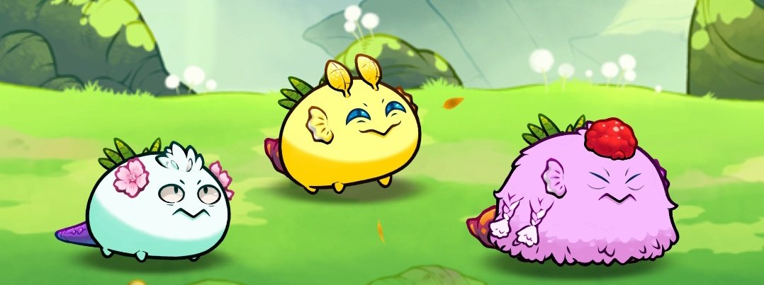 LlarenaAljon's tweet photo. Daily Goal: Spending 60 Stamina Daily Grind 🥰🥰😵💫😵💫
I hope I can make at least Top500
Are they Bullying Bigyak? 😂😂
@BigYakAxieClub
@AxieInfinity
#AxieOrigins
#AxieS2 https://t.co/FkR87xhIbo