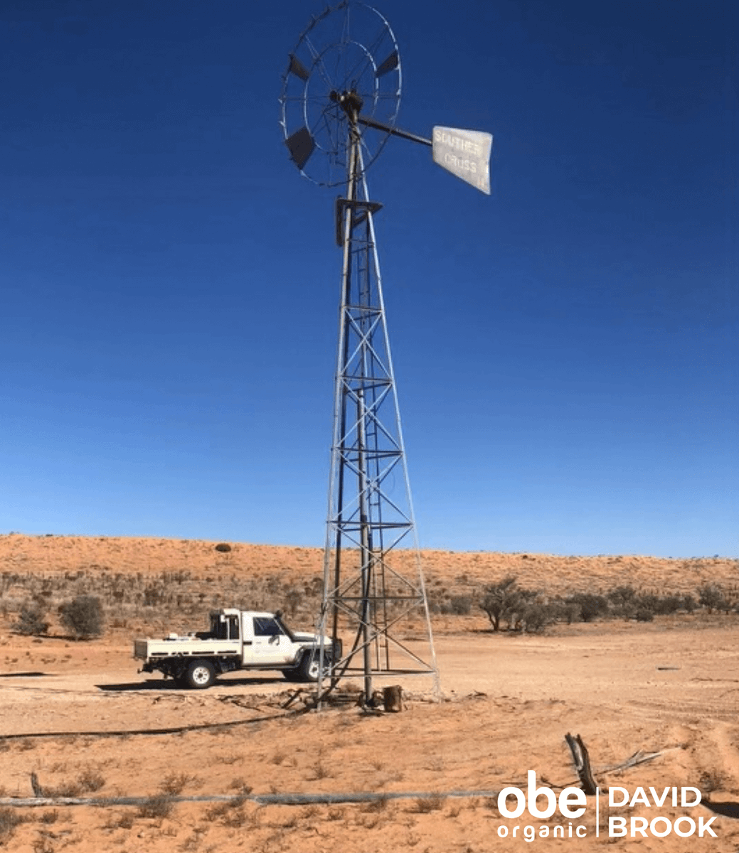 OBEOrganic's tweet photo. OBE Organic X David Brook ๐ธ
A windmill
We are slowly removing windmills from service and replacing them with solar pumps.
View the collaboration here https://t.co/gNCHGpbsia
#OBEOrganic #OBEBeef #DavidBrook https://t.co/Jw6M0ijIDE