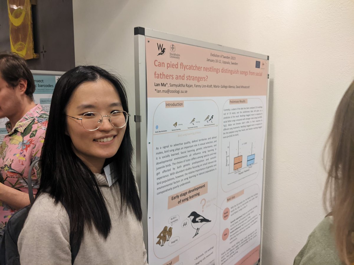 Zoology_SU's tweet photo. Great posters presented by @hovringkraft and @fox19961119 from the @wheatcroftlab at #EvolutionInSweden in Uppsala! https://t.co/jNK2Z9a32g