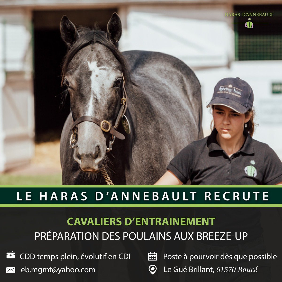 📣[ JOB OFFER ]

🇫🇷 Suite au développement de notre activité débourrage / pré-entraînement, nous sommes à la recherche de cavaliers pour agrandir notre équipe.

🇬🇧 We are looking for a track work rider (breaking-in and pre-training) with experience to join our dynamic team.