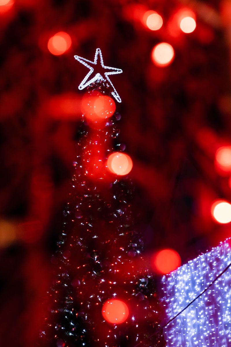 HyggeLed's tweet photo. Our Christmas light sets are perfect for the holidays.
#hyggeled #quntis #decorlights #decorlight #leddecor #ledlight #festivemood #Xas #holidays #barlights #homedecor #founditonamazon #outdoorlights #yard #solarlights https://t.co/l2gHnVgTfg