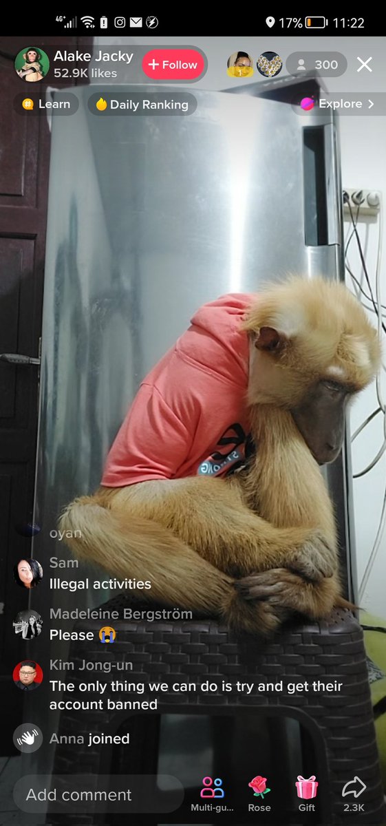 Fighterluna2's tweet photo. @peta please investigate this tiktok live at the moment, seems as if this animal is being shocked and many people are complaining https://t.co/a9WUDxuR8p