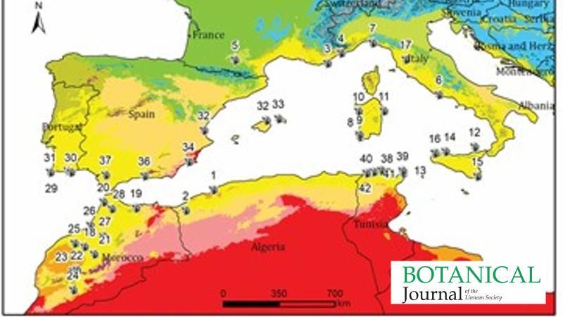 BotJLinnSoc's tweet photo. Genetic variability of #Chamaerops humilis (#Arecaceae) throughout its native range highlights two species movement pathways from its area of origin.
Giovino et al. #Genetics #Palms #Phylogeography #Conservation
https://t.co/i2m6nw1FIN https://t.co/sndLNk8WiE