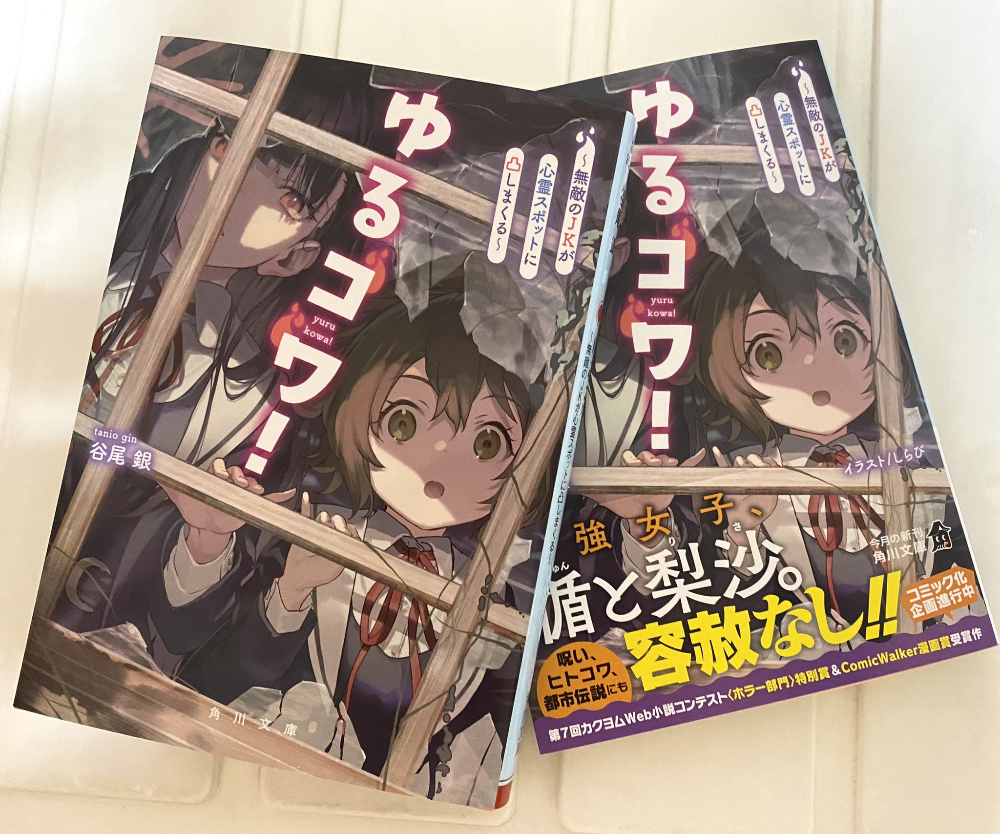 C99 Life-is-free しらび 86-エイティシックス イラスト本美品 素敵な