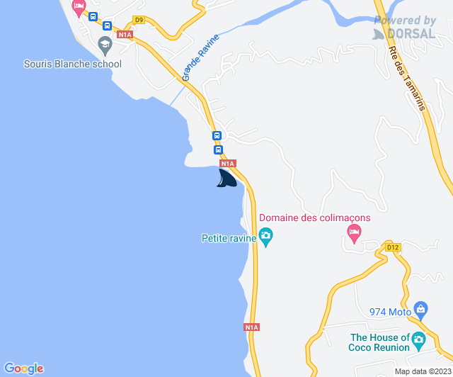 Centre Sécurité Requin tweet media