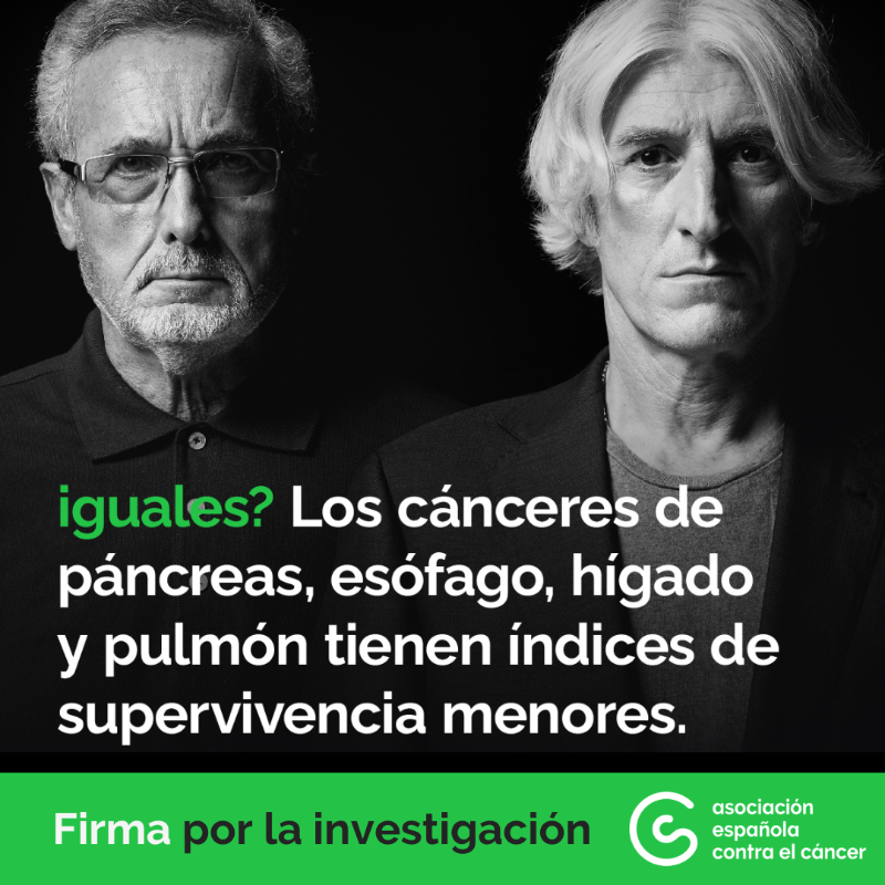ContraCancerEs's tweet photo. 🟢​ Cada año, 100.000 personas en España son diagnosticadas con un tumor con una supervivencia inferior al 30%

Es necesario investigar más este tipo de tumores para seguir aumentando la supervivencia.