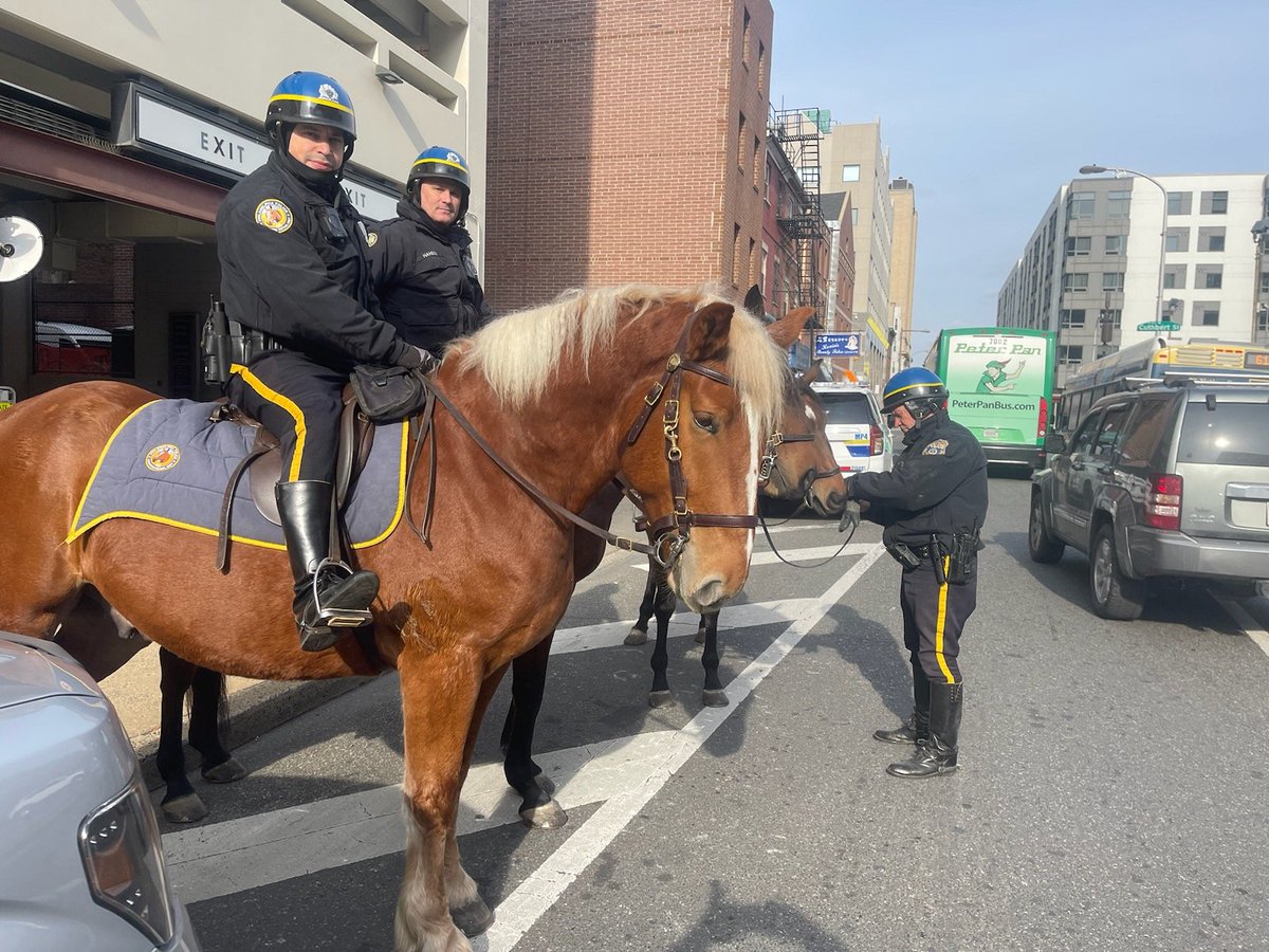 PPDMountedUnit's tweet photo. On patrol down center city with our newest addition, Caliber! https://t.co/I6avt2vQMm
