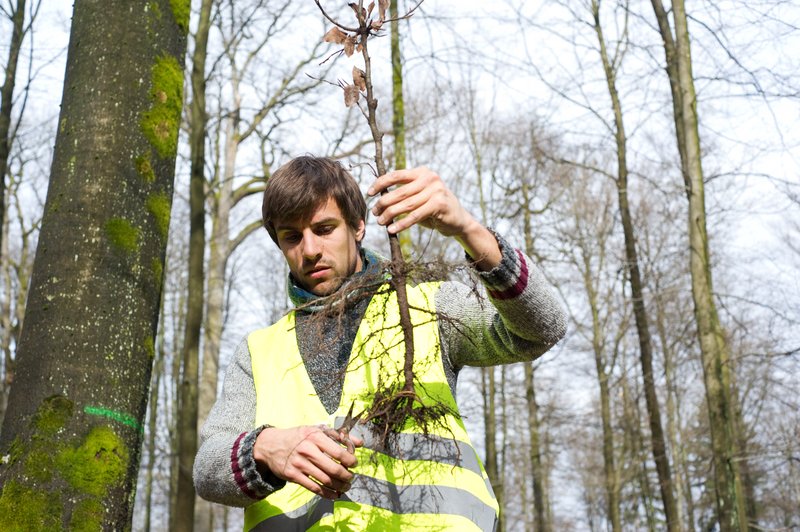 TU Dublin / OT Baile Átha Cliath (@wearetudublin) on Twitter photo Looking for a #ClimateAction activity? Join <a href="/pocketforests/">@pocketforests</a> for our tree planting event at the west side of Lower House, Grangegorman, Thurs 26 Jan, 10am. The soil has long been prepped & now its time to sow the saplings 🌿We need volunteers - can you join? #TUDublinSustainability Looking for a #ClimateAction activity? Join <a href="/pocketforests/">@pocketforests</a> for our tree planting event at the west side of Lower House, Grangegorman, Thurs 26 Jan, 10am. The soil has long been prepped & now its time to sow the saplings 🌿We need volunteers - can you join? #TUDublinSustainability