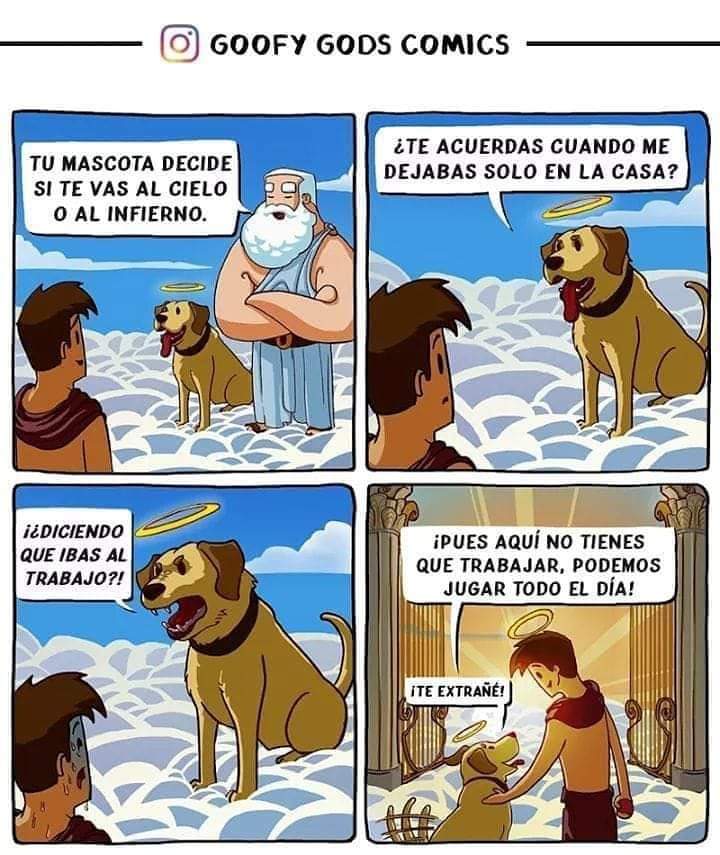 #AdoptaYSalvaUnaVida 

#AdoptaNoCompres 

#Noalmaltratoanimal