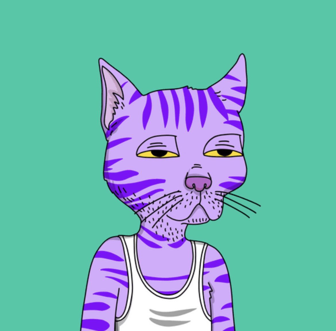 Slim4President's tweet image. As a seal and cat holder, and as great as seal community is and despite them killing it compared to gutter at the moment,  gotta rock the cat  #keepitgutter