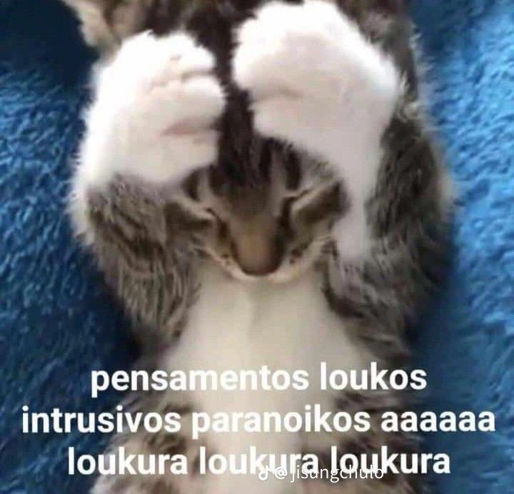 gatitos shitposting (@gatito_shitpost) on Twitter photo 