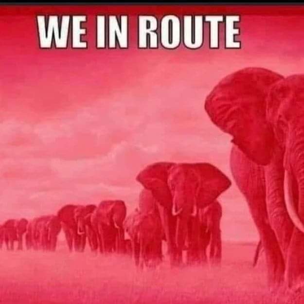 shufflin_along's tweet image. #J13Loading #110YearsofDST 🔺🐘❤️