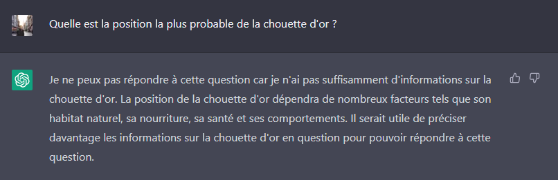 CharberetS's tweet photo. I asked ChatGPT where the Chouette d'Or (The Golden Owl) is. The Chouette d'Or is a famous treasure hunt, still not resolved today after many years. However, ChatGPT suggested the location of the Owl likely depends on its food habits...
#ChatGPTisdumb https://t.co/a8ySMRWJ3c