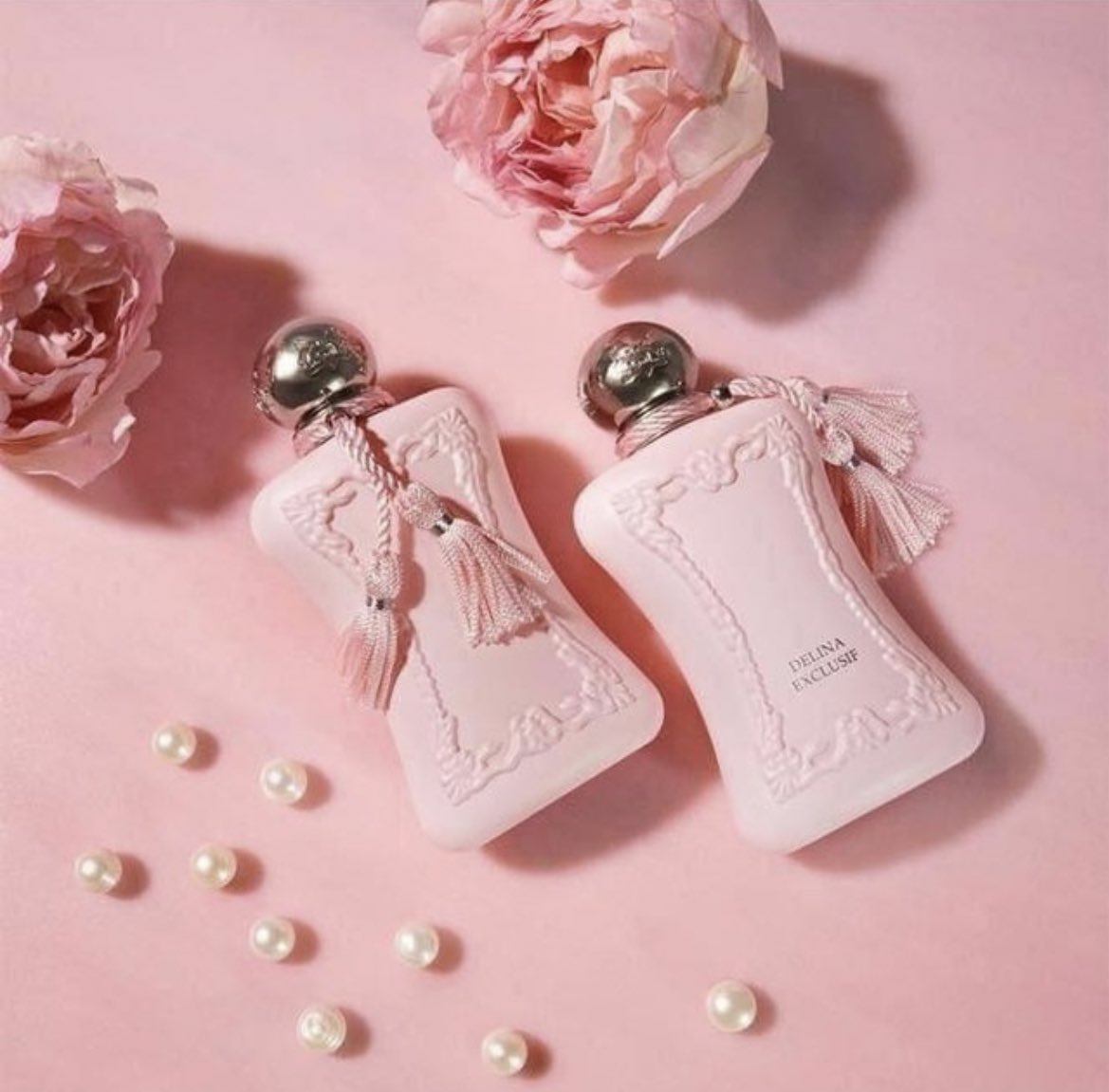 بشاير tweet media