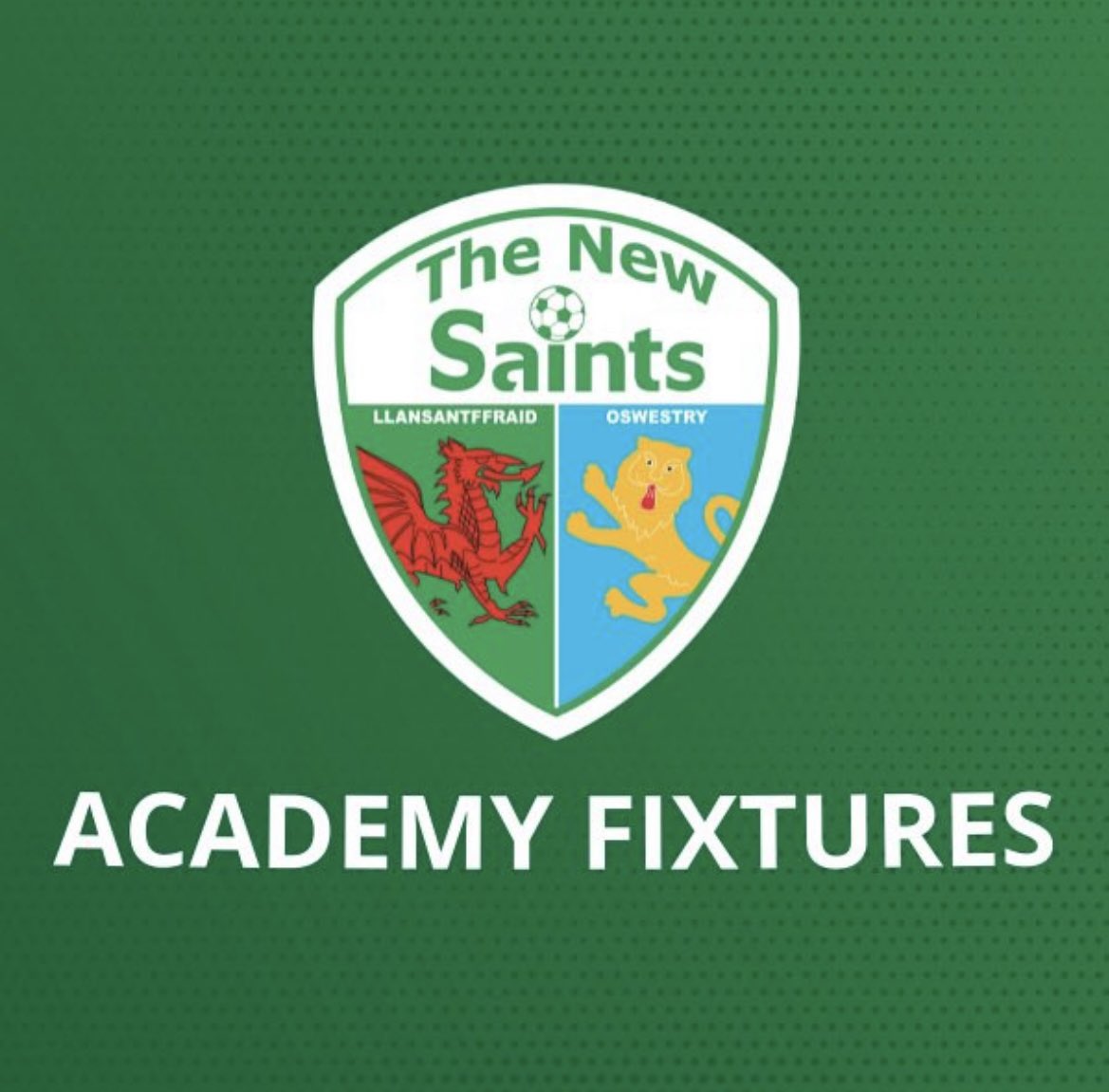 The New Saints Academy (@TNSAcademy) / Twitter