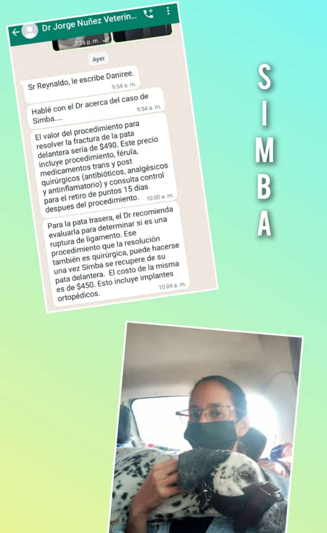 PerroUsuario's tweet photo. RT @maritesotelo: Se necesita recaudar el dinero de la operación y castración de #Simba dálmata de #VillaZoila Nos faltan 180$. Entregan a Simba el día jueves 12/01/2023
Cada granito cuenta. D antemano muchísimas gracias. 
☎️ 04142423646  https://t.co/RDRhYJ2wMw