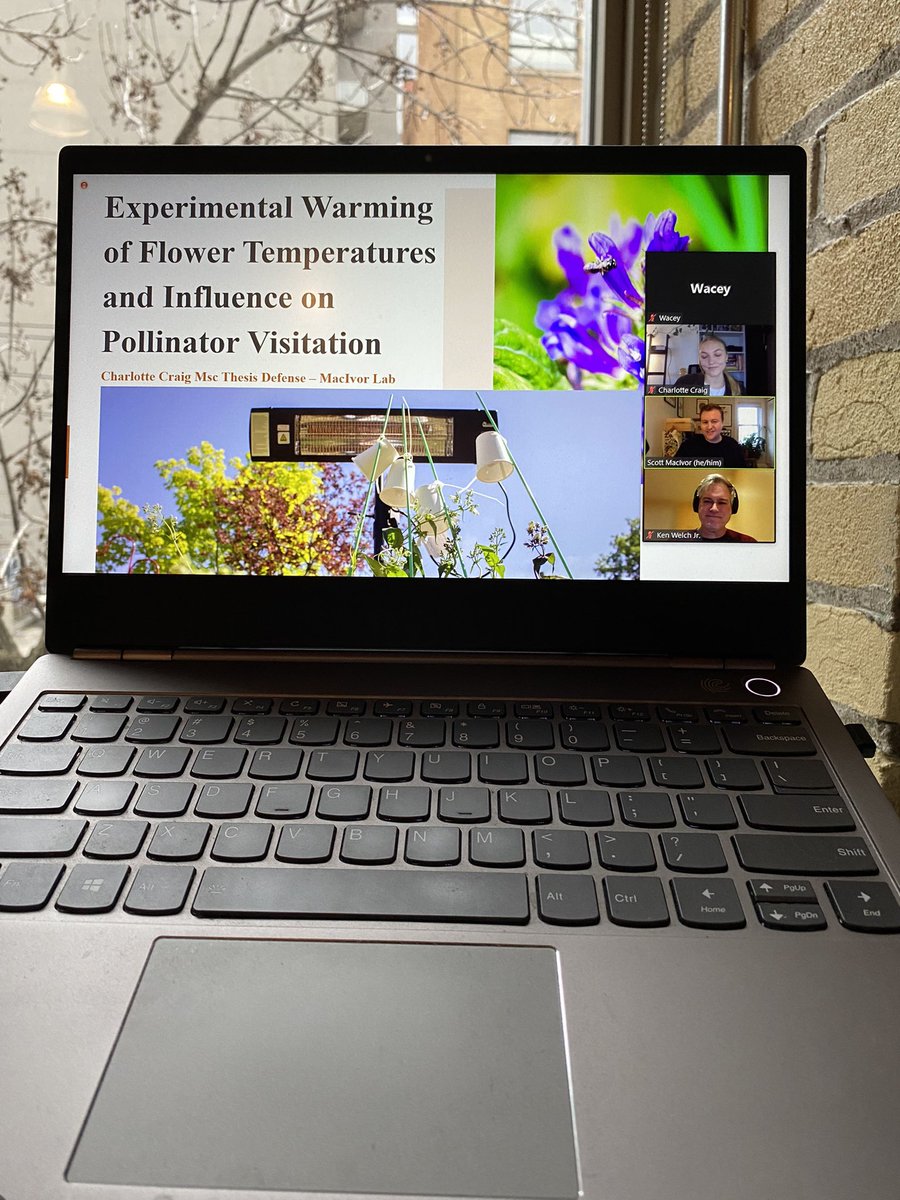 CharlottevCraig's tweet photo. Successfully defended my MSc masters with @eebtoronto 🐝 feeling very grateful for the support I have received throughout this process, especially from the PI extraordinaire @jscottmacivor https://t.co/WNfx0Lett1