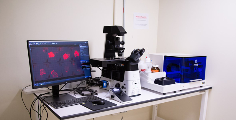 NIH_ORIP's tweet photo. #ORIPResearchHighlight @irmdirector envisions a promising future for RNA-based therapeutics with @BIDMChealth's RNA Core. Providing affordable access to the latest RNA-based technology and bioinformatics. (ORIP support through C06RR028581) https://t.co/OnMe5mCrjJ https://t.co/KizURwRyCA