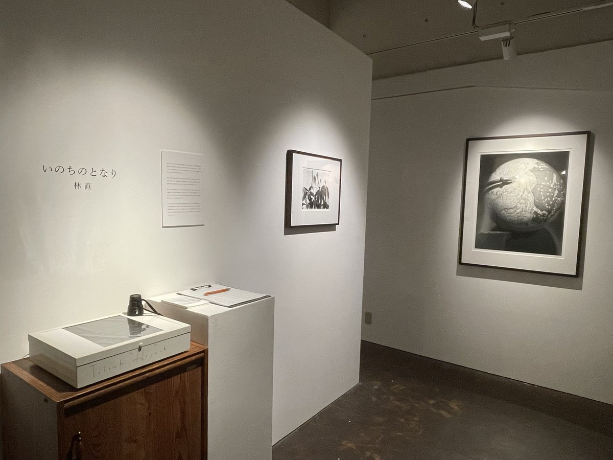 accaweb's tweet photo. 写真家の林直さん（@hayashi_photo_s）の個展「いのちのとなり」へ行って来ました！

ギャラリーへ到着した時間が遅かったので、独り占めの空間で1枚1枚じっくり堪能。

私が直さんの写真を見て頭に浮かんだ言葉は、"歴史"でした。

やはり、プロってすごい！（語彙力）

#林直 #いのちのとなり https://t.co/nkA83biuBZ
