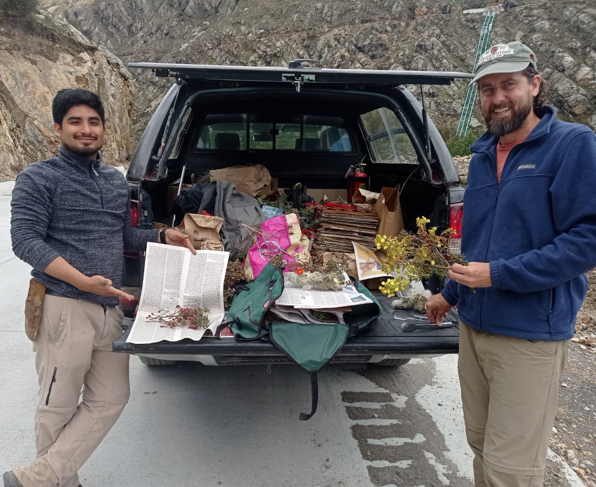 Wrapping up an amazing trip starting our project on cacti in Peru with colleagues from the Museo de Historia Natural! We are off to a great start, with many very exciting species encountered so far and a few Melastomes thrown in for good measure. @FLAS_herb https://t.co/kPFKn7U54p