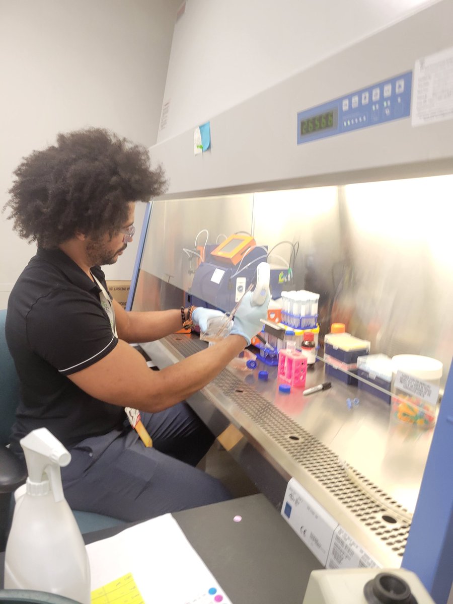 mbkodos's tweet image. From dry lab to wet lab. Learning to do tissue culture with the help of Dr. Katie Ryan. And then it&apos;s sequencing time! @nanopore