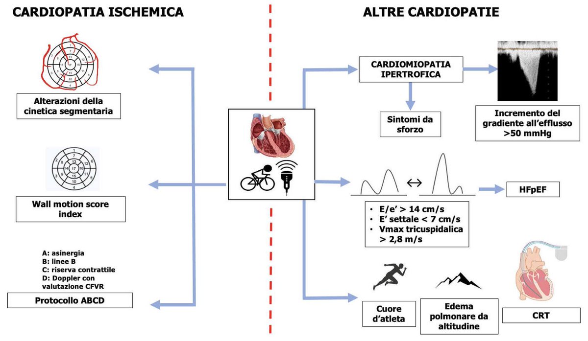 Quanto ne sai di echo-bike? 
Nella rassegna di Bianchi et al., con la guida di Pavasini, un analisi dei principali campi di applicazione e dei limiti dell’#ecocardiografia da #sforzo
#echofirst
giornaledicardiologia.it/archivio/3934/…