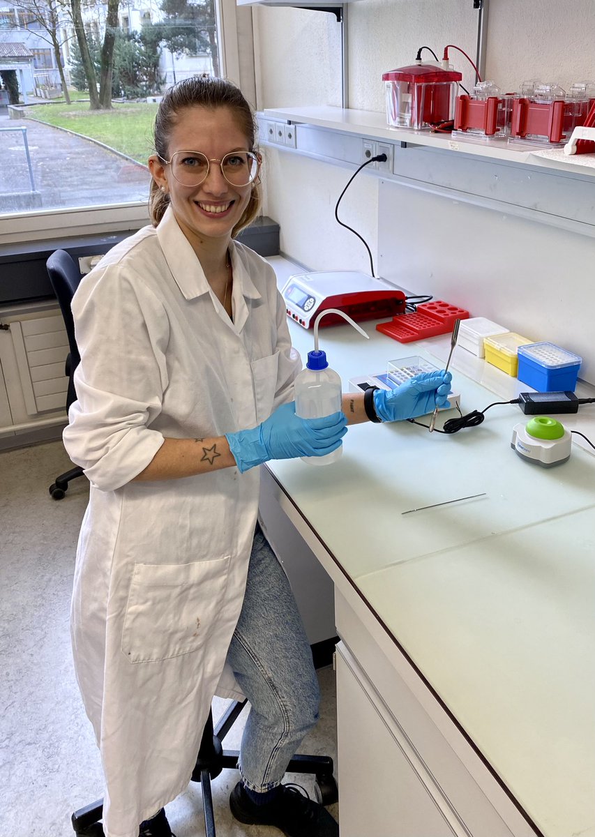 We are delighted to welcome @Valeneesan to the inSEIT team. Looking forward to an exciting 2023 for inSEIT
#enzyme #biocatalysis #swissstartups #startup #bern #immobilization #realtimechem #swissjobs #Switzerland