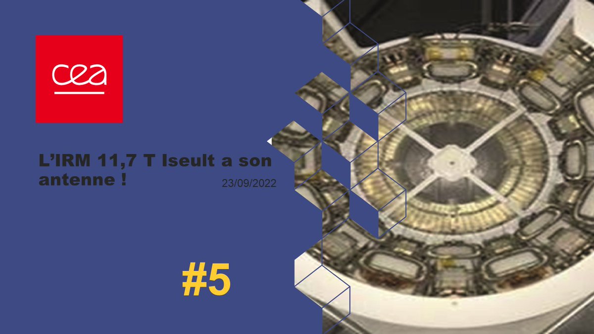 [11/22 quizz rétrospective] 
#2022 : une équipe <a href="/NeuroSpin_91/">NeuroSpin</a>/<a href="/CEAIrfu/">CEA Irfu</a> développe une antenne RF pour l’IRM 11,7T Iseult #IseultMRI. Sa fabrication était prévue dès le début du projet. Sans elle, impossible d'avoir de belles images sans artéfact.
➡️joliot.cea.fr/drf/joliot/Pag…