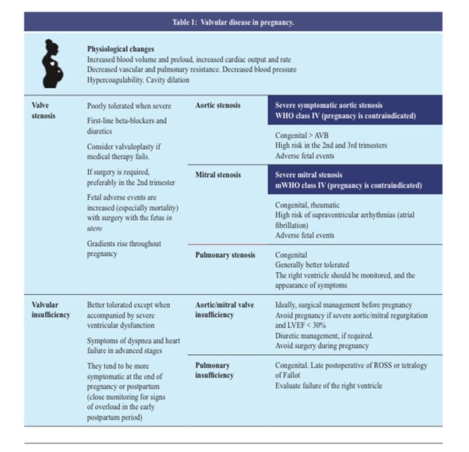 GabrielaBorrayo tweet media