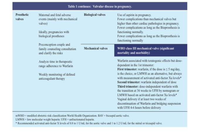 GabrielaBorrayo tweet media
